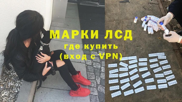 твердый Аркадак