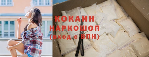 твердый Аркадак