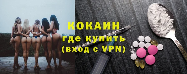 твердый Осинники