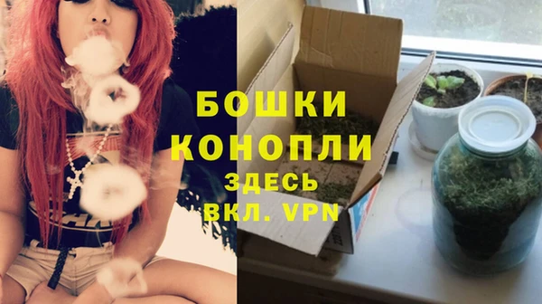 MESCALINE Арсеньев
